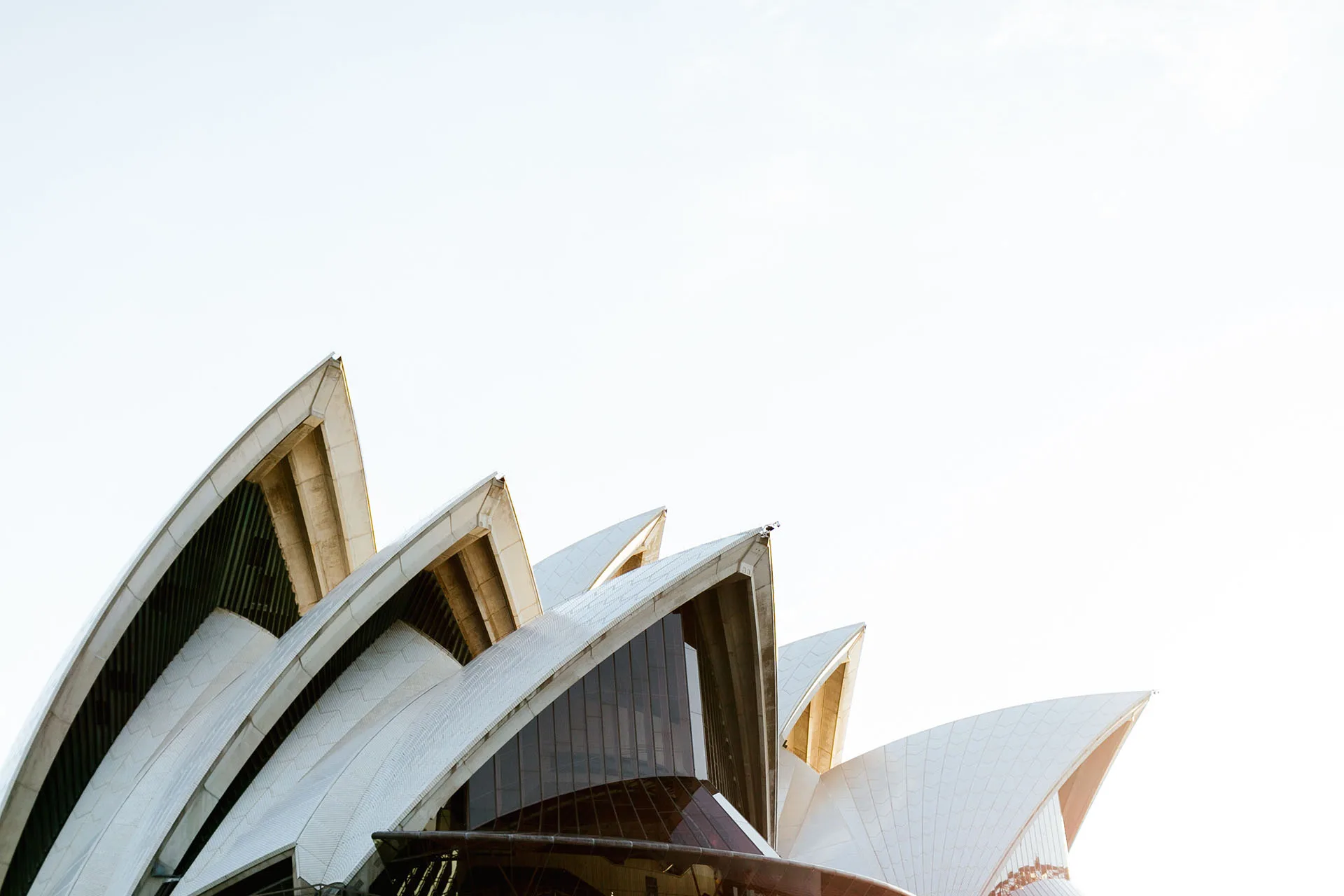 Sydney startup founders sharing advice and collaborating